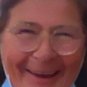 Photo de profil de Dominique Lesnes