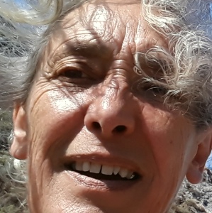 Photo de profil de Dominique Vicente
