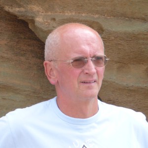 Photo de profil de Dominique Vieille-Giraret