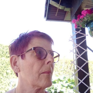 Photo de profil de Dominique Vuillemin