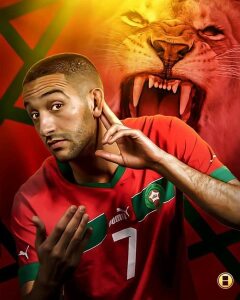 Photo de profil de Driss Hmichane