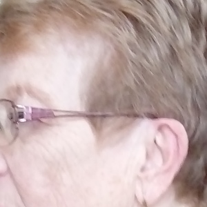 Photo de profil de Elisabeth Introligator
