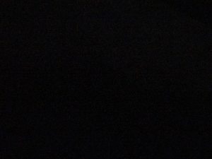 Photo de profil de Erika Berzosa