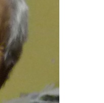 Photo de profil de Etienne Thirifays