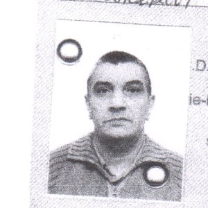 Photo de profil de Ferkous Belkacem