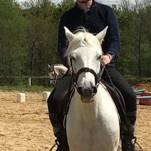 Photo de profil de Francis Landuyt