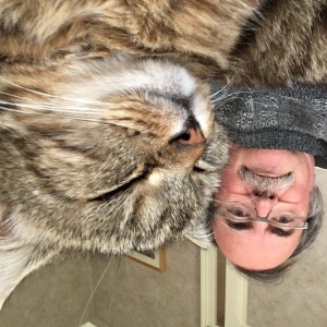 Photo de profil de François Henry