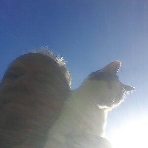 Photo de profil de François Moutard