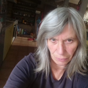 Photo de profil de Françoise Festoc