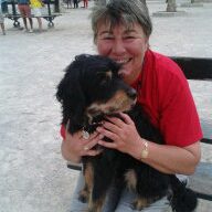 Photo de profil de Francoise Requier