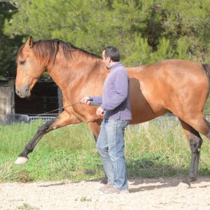 Photo de profil de Frédéric Leca