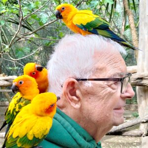 Photo de profil de Gérard Chevereau