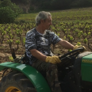 Photo de profil de Gerard Gherci
