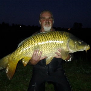 Photo de profil de Gerard Massing