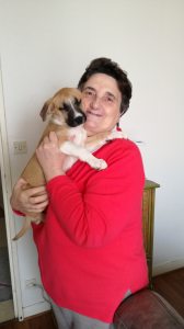Photo de profil de Ghislaine Morlon