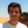Photo de profil de Gianluca Ricciardelli