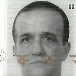 Photo de profil de Gilbert Glenisson