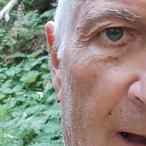 Photo de profil de Gilbert Gonneton