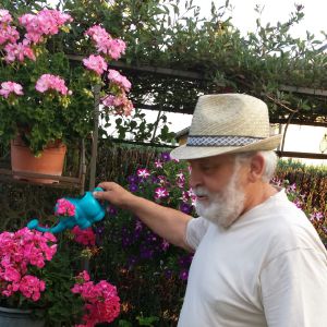 Photo de profil de Gilbert Morel