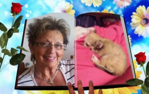 Photo de profil de Gisele Verger