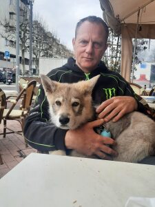 Photo de profil de Gregory Denaux
