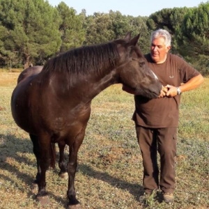 Photo de profil de Guy Berton