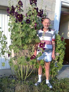 Photo de profil de Guy Brizion