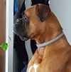 Photo de profil de Harvey Pennick