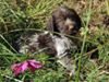 Photo de profil de Henriette Faussurier