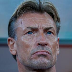 Photo de profil de Herve Renard