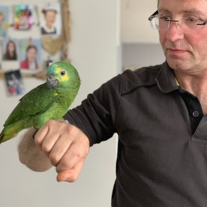 Photo de profil de Hugues Verwaerde