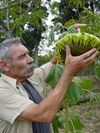Photo de profil de Irénée Combes