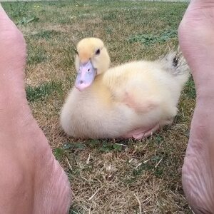 Photo de profil de Jacky Fromage