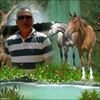 Photo de profil de Jacky Varrault
