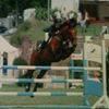 Photo de profil de Jacques Duces