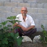 Photo de profil de Jean-Luc Follin