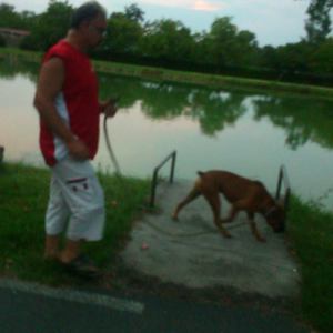 Photo de profil de Jean Marie Depaux