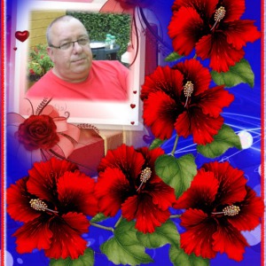 Photo de profil de Jean Micchel Grangeray