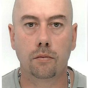 Photo de profil de Jean Michel Moya