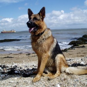 Photo de profil de Jean Paul Buisson