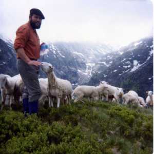 Photo de profil de Jean-Pierre Rogalle