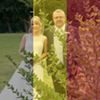 Photo de profil de Jean-marc Remy