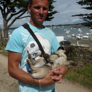 Photo de profil de Jerome Bouland