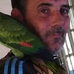 Photo de profil de Jimmy Marchais