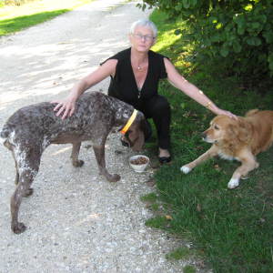 Photo de profil de Jocelyne Moricard