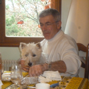 Photo de profil de Joel Bourguignon