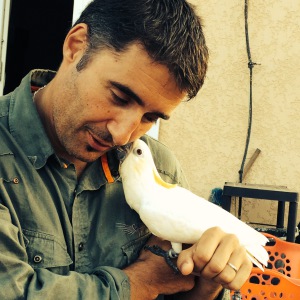 Photo de profil de Jose Centofanti