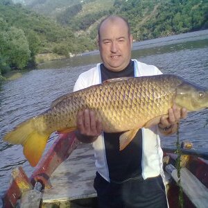 Photo de profil de Jose de Carvalho