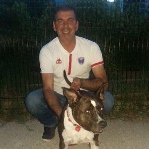 Photo de profil de Joseph Iannello