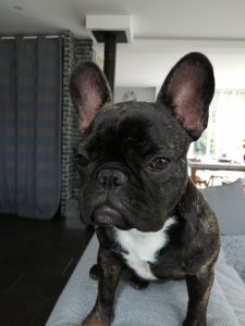 Photo de profil de Josselin Harp